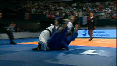 Wisselend judosucces