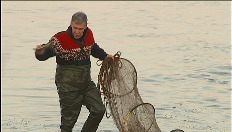 Fish in our rivers under threat