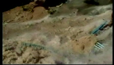 Thai rennen strand af op vlucht voor reuzengolven