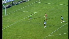 Erwin Vandenbergh (WK 1982 tegen Argentinië)