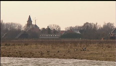 La biodiversité menacée en Flandre