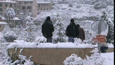 Sneeuwtapijt bedekt palmbomen op Mallorca