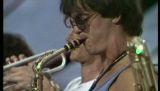 Middelheim 81 Band (1981)
