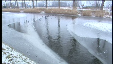 Nog niet schaatsen op de Damse Vaart
