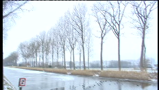 Flemings still can’t skate to the Netherlands