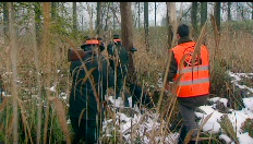 Schauvliege kondigt tijdelijk jachtverbod af