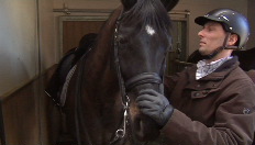 Jeroen Devroe stelt zijn paard Apollo voor