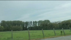 Kandidaten - Bierbeek (CD&V)