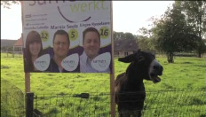 Ezel is heel enthousiast over de verkiezingen