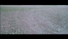 Bert Verdru - Meulebeke (VRIJ)