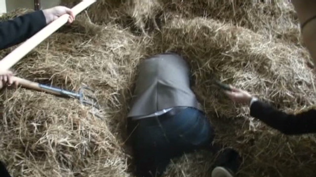 deredactie.be video: Kunst is als zoeken naar een speld in een hooiberg