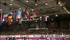 Teamfinale EK turnen: Terri Grand'Ry (brug)